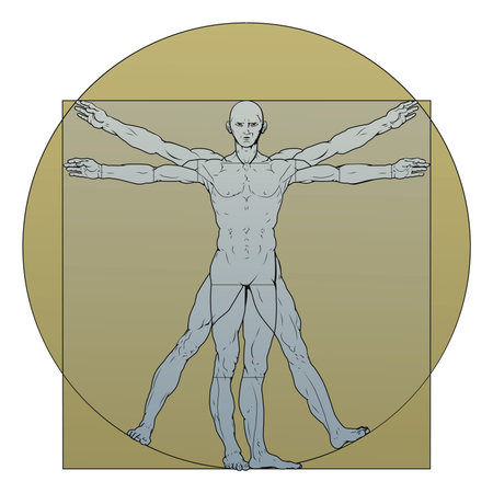 Illustration based on Leonardo da Vinci's classic Vitruvian manのイラスト素材