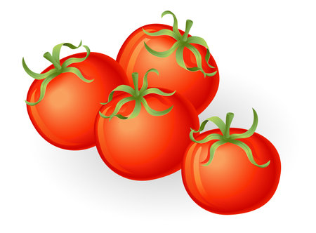 Illustration of a group of fresh tasty tomatosのイラスト素材