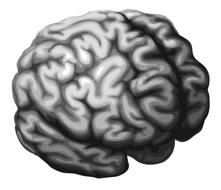 Illustration of a monochrome brain in shades of greyのイラスト素材