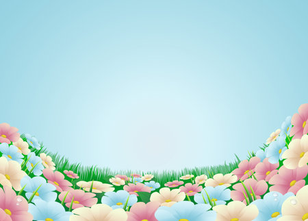 Field or meadow with beautiful flowers and blue skyのイラスト素材