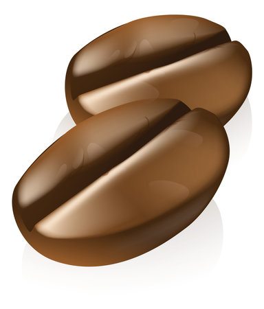 An illustration of two brown roasted coffee beans  or seedsのイラスト素材