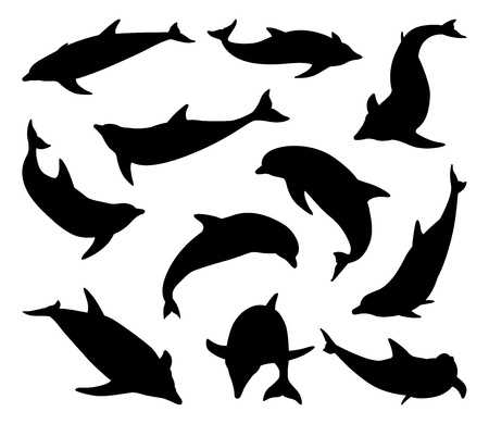 A set of dolphin silhouettes in various positions and from different anglesのイラスト素材