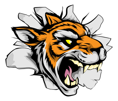 A tiger sports mascot or character breaking out of the background or wallのイラスト素材