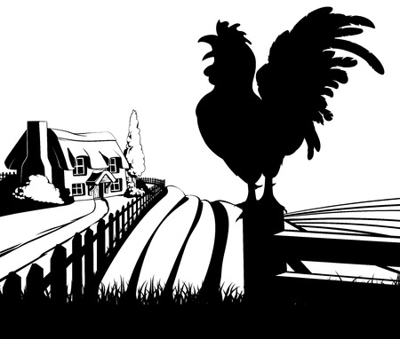 Rooster in silhouette standing in the foreground and an a farm house thatched cottage in an idyllic landscape of rolling hills with sunrise in the backgroundのイラスト素材