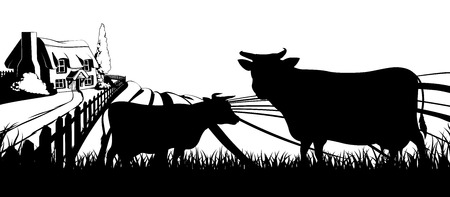Cows in silhouette standing in the foreground and an a farm house thatched cottage in an idyllic landscape of rolling hills with sunrise in the backgroundのイラスト素材