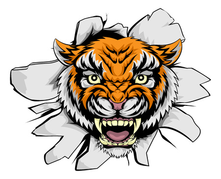 A mean tiger animal sports mascot ripping through the backgroundのイラスト素材