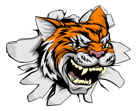 A tiger animal sports mascot bursting through a wallのイラスト素材