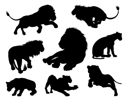 Lion silhouettes. Male and female lions in silhouette in various posesのイラスト素材