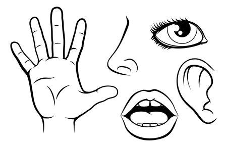 A science education illustration of icons representing the 5 senses in black and whiteのイラスト素材