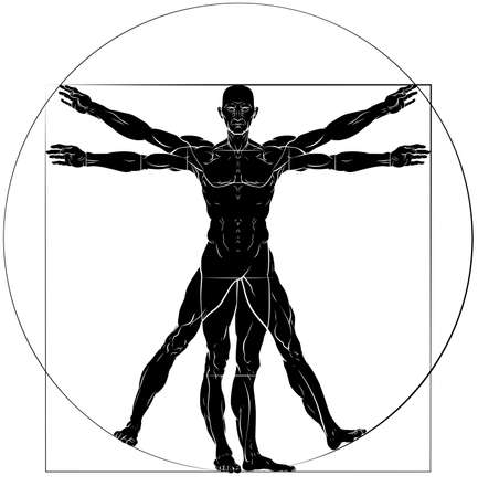A figure   man anatomy illustrationのイラスト素材