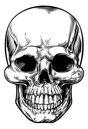 Skull drawing in a vintage retro woodcut etched or engraved styleのイラスト素材