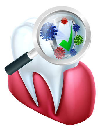 A medical dental illustration of a tooth and gum protected from bacteria by a shield magnified by a magnifying glassのイラスト素材
