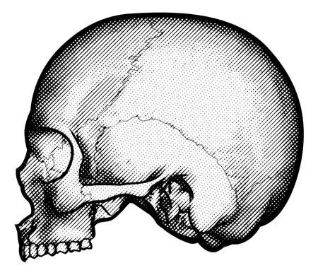 Skull Vintage Retro Etched Engraved Styleのイラスト素材