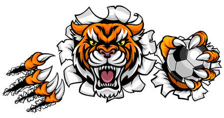 Tiger Holding Soccer Ball Breaking Backgroundのイラスト素材