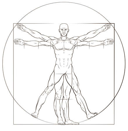 Vitruvian Manのイラスト素材