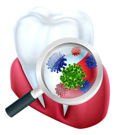 Tooth Magnified Bacteriaのイラスト素材
