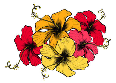 Hibiscus Flowers.のイラスト素材