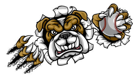Bulldog Baseball Sports Mascotのイラスト素材