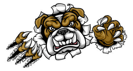 A mean bulldog dog angry animal sports mascot cartoon character ripping through the backgroundのイラスト素材