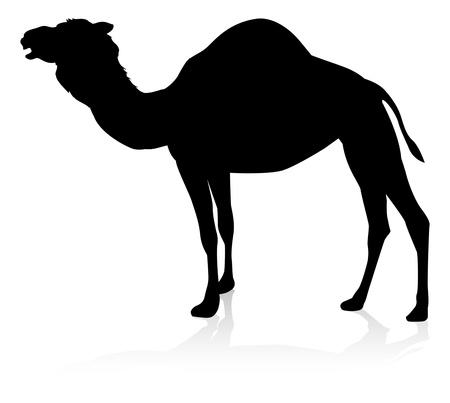 Camel Animal Silhouetteのイラスト素材