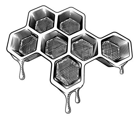 Bee Honeycomb Dripping with Honey Vintage Styleのイラスト素材