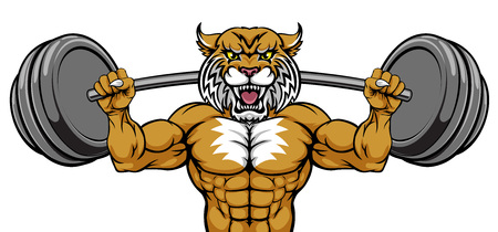 Wildcat Mascot Weight Lifting Body Builderのイラスト素材