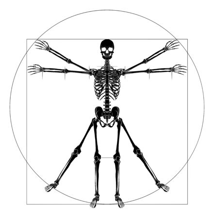 Da Vinci Vitruvian Man Skeletonのイラスト素材