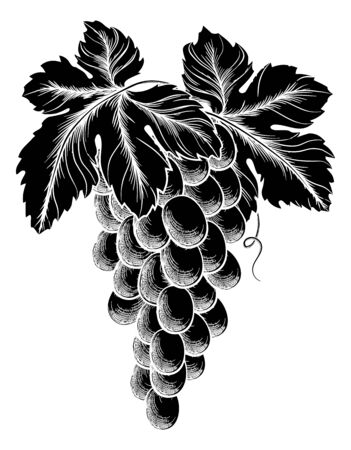 Bunch Of Grapes On Vine With Leavesのイラスト素材