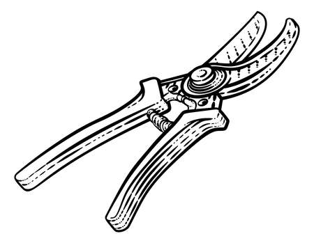 Secateurs Garden Pruner Gardening Tool Woodcutのイラスト素材
