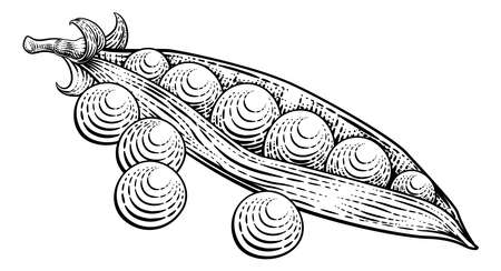 Sweet Peas Pod Vegetable Vintage Style Woodcutのイラスト素材