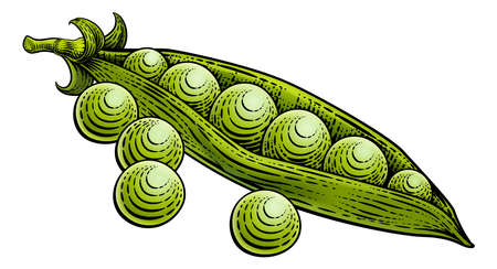 Sweet Peas Pod Vegetable Vintage Style Woodcutのイラスト素材