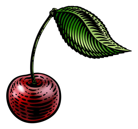 Cherry Berry Fruit Vintage Woodcut Illustrationのイラスト素材