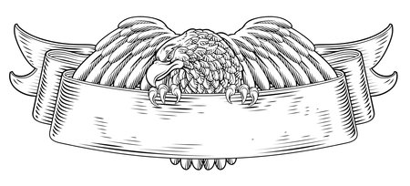 Eagle Scroll Symbol Crest Banner Parchment Designのイラスト素材