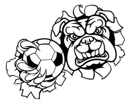 Bulldog Dog Soccer Football Ball Sports Mascotのイラスト素材