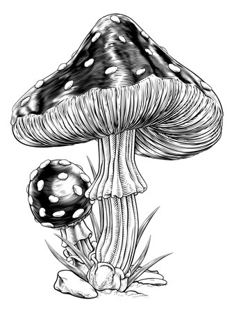 Mushrooms Toadstools Vintage Engraved Woodcutのイラスト素材