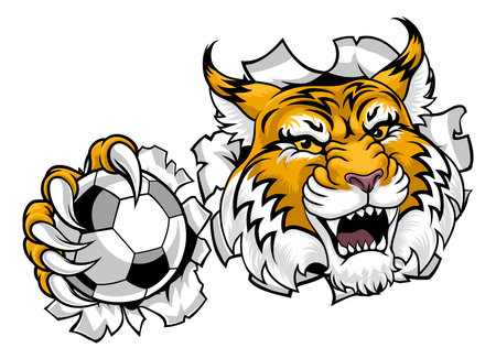Wildcat Soccer Football Animal Team Mascotのイラスト素材