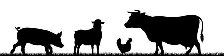 Farm Animals Silhouette Field Scene Landscapeのイラスト素材
