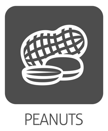 Peanut Nut Food Allergy Icon Conceptのイラスト素材