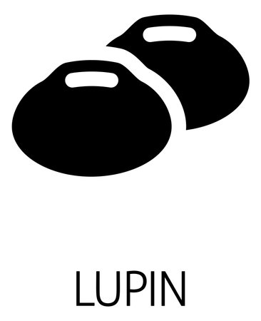 Lupin Bean Legume Food Icon Conceptのイラスト素材