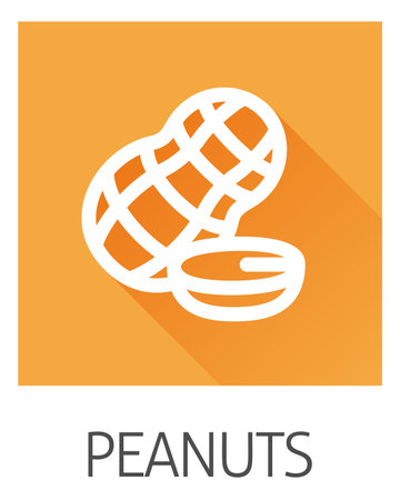 Peanut Nut Food Allergy Icon Conceptのイラスト素材