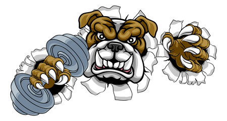 Bulldog Dog Weight Lifting Dumbbell Gym Mascotのイラスト素材