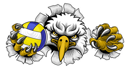 Eagle Hawk Bird Volleyball Volley Ball Mascotのイラスト素材