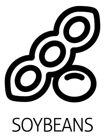 A Soybean Soy Bean Food Allergen Icon Conceptのイラスト素材