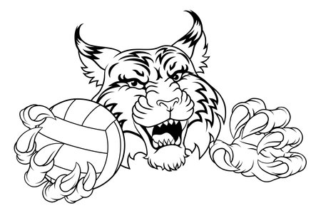 Wildcat Cougar Lynx Lion Volleyball Claw Mascotのイラスト素材