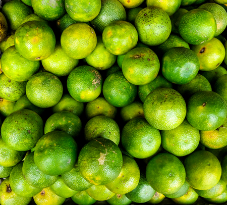 Bunch Of Vibrant Sweet Green Lemonの写真素材