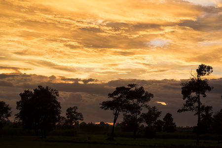 Dramatic Bright sunrise sun over forest silhouette.の写真素材