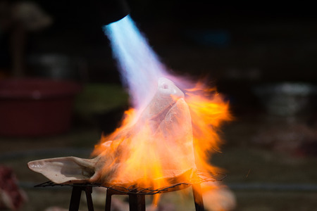 Burning pork head before cleaning in a rural areaの写真素材