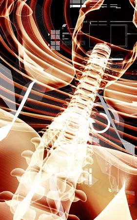 Digital illustration of a human spine in colour 	の写真素材
