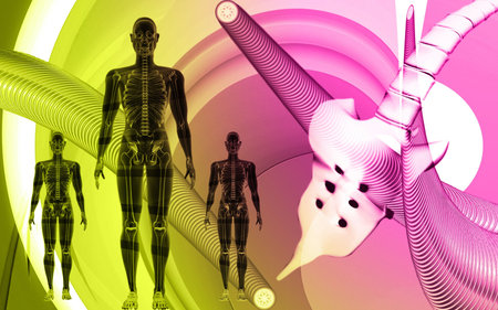 Digital illustration of  a   human body incolour background 