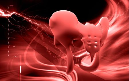 Digital illustration  of pelvic girdle in    colour background  の写真素材